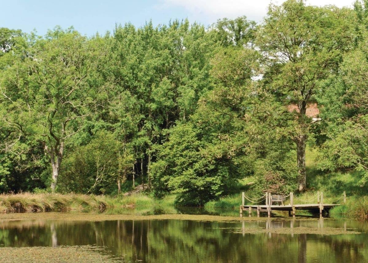 Mill Meadow Lodges Llanbister Экстерьер фото